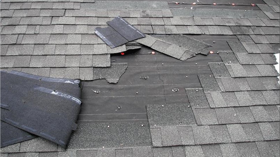 Roof Damage