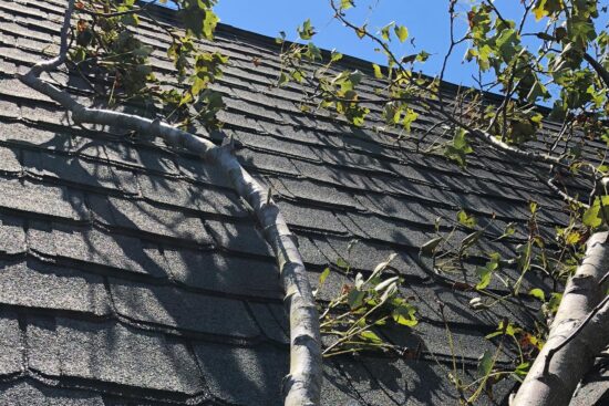 Roof Storm Damage