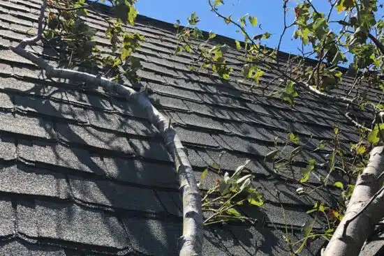 Roof Storm Damage
